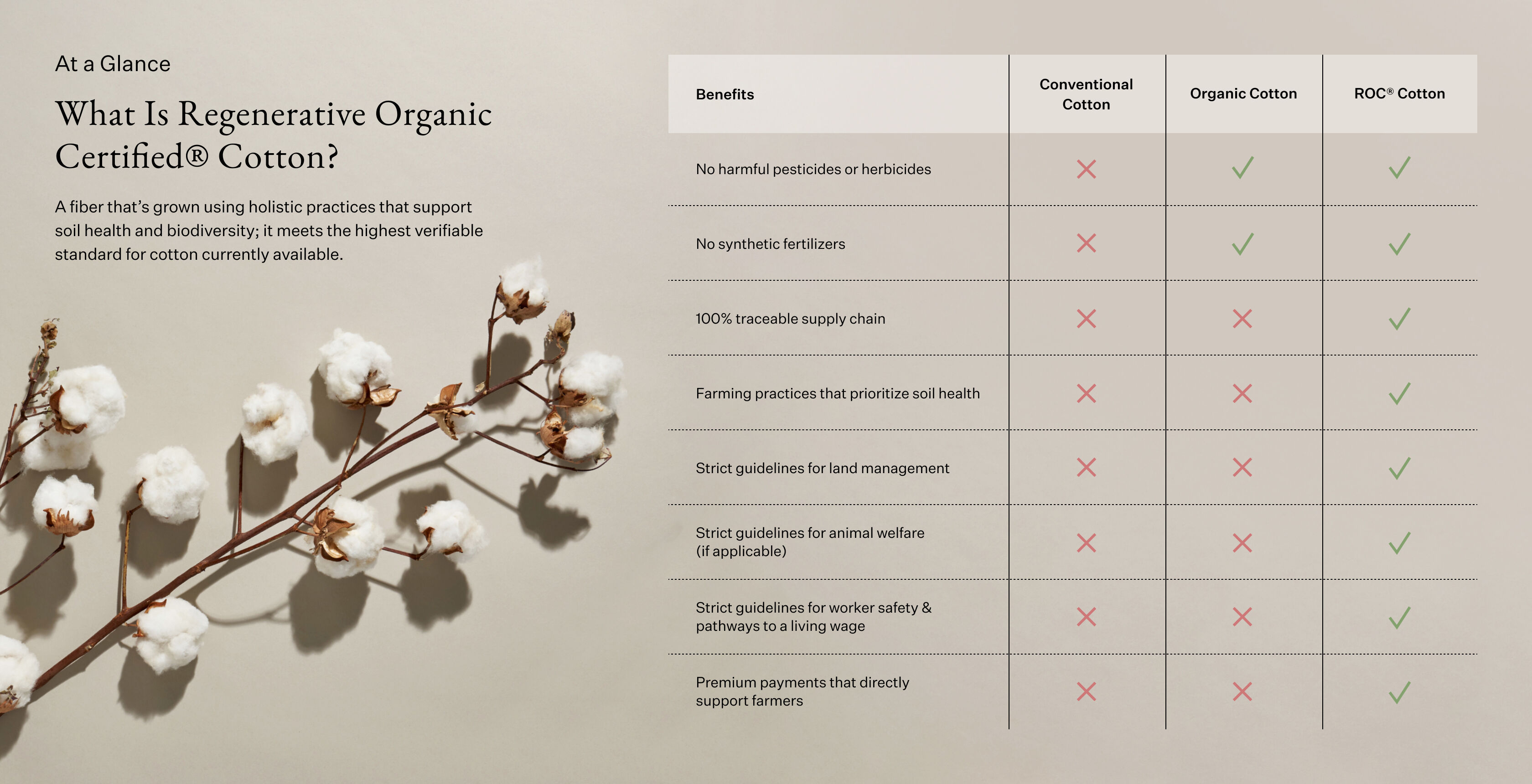 At a Glance: What Is Regenerative Organic Certified&reg; Cotton?