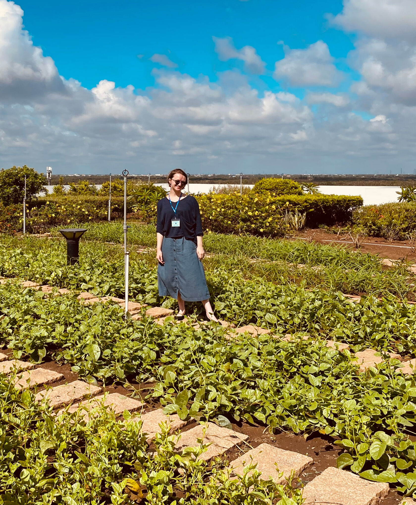 A green roof at a garment factory in Vietnam.