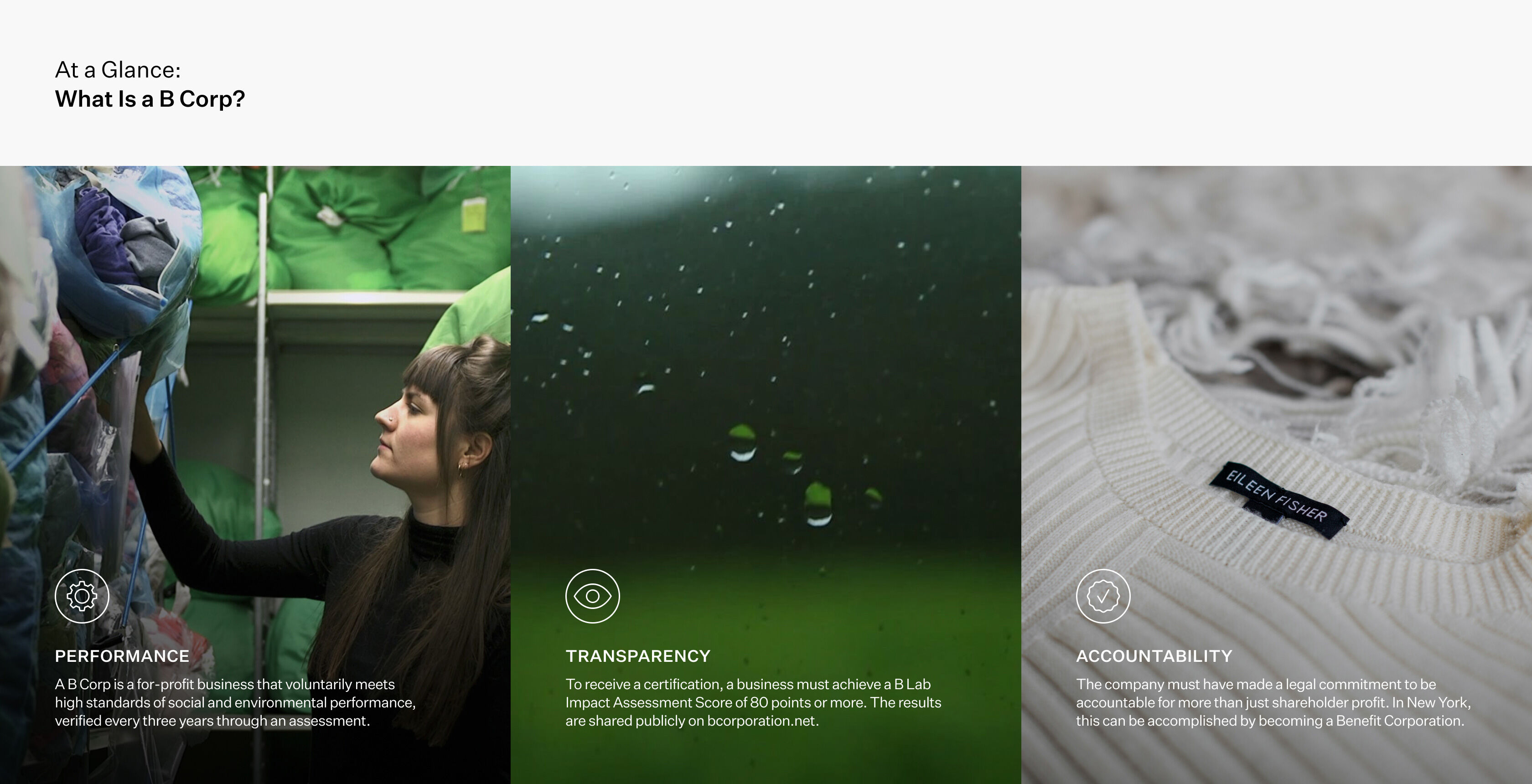 What is a B Corp infographic. Performance. Transparency. Accountability.