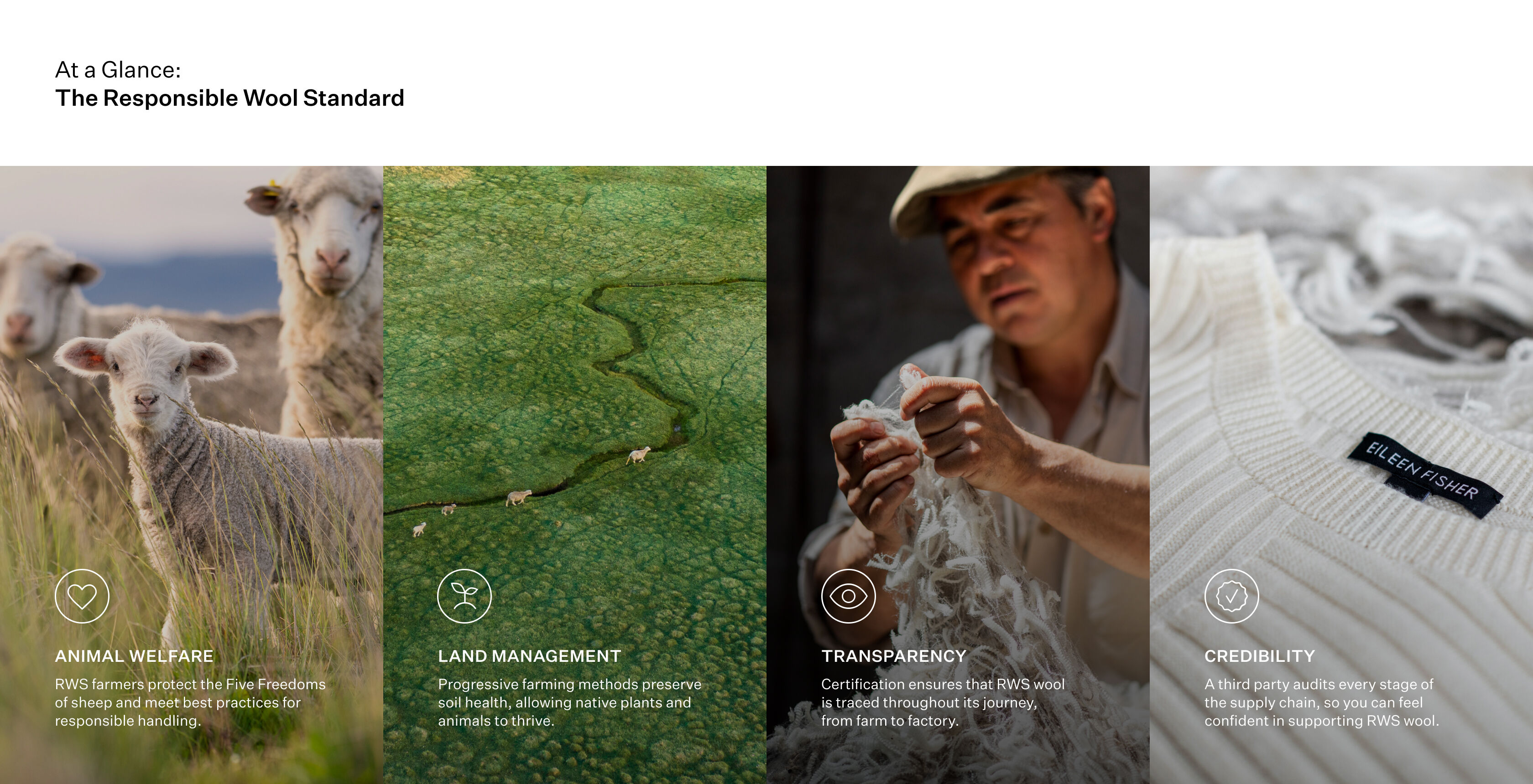 The Responsible Wool Standard at a glance.