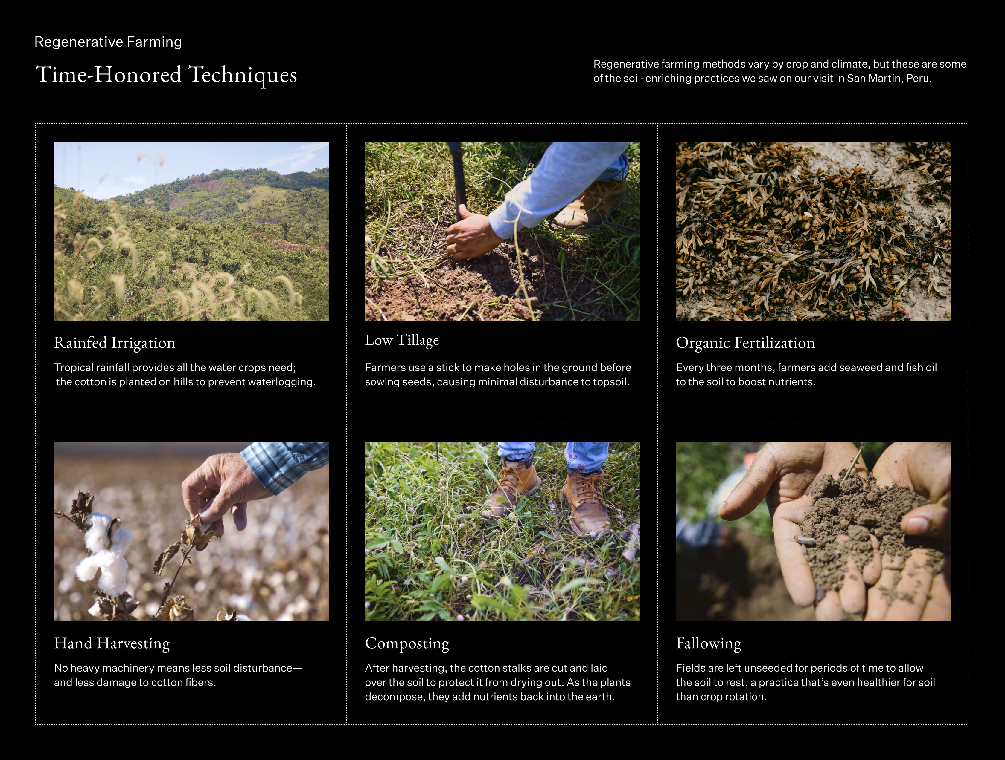 Regenerative Farming: Time-Honored Techniques