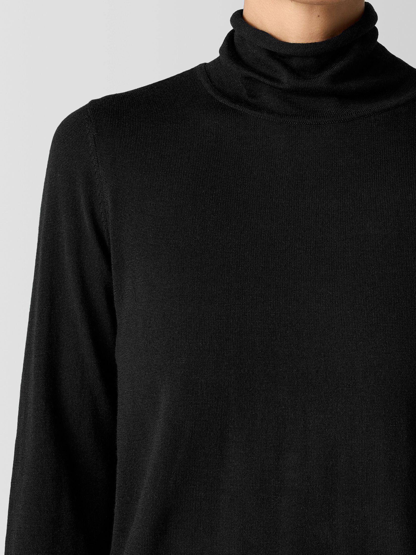 Fine Merino Turtleneck Top in&nbsp;Regenerative Wool