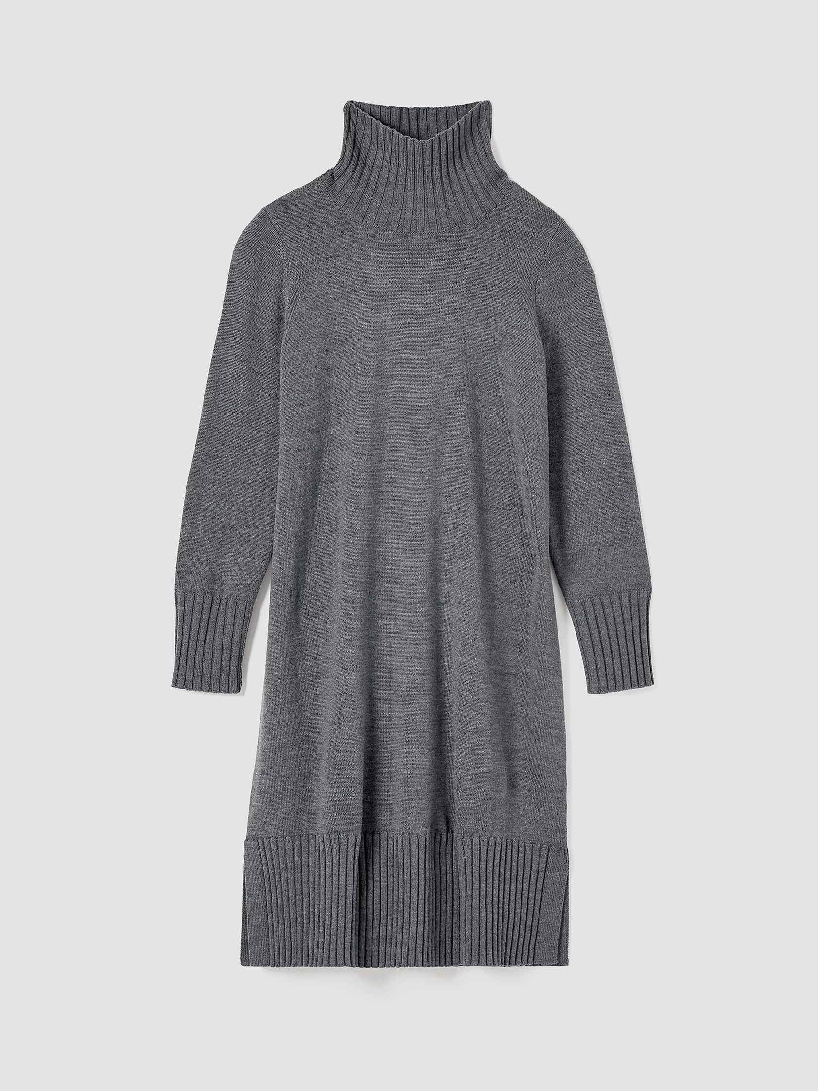 Merino Jersey Turtleneck Dress in Regenerative Wool