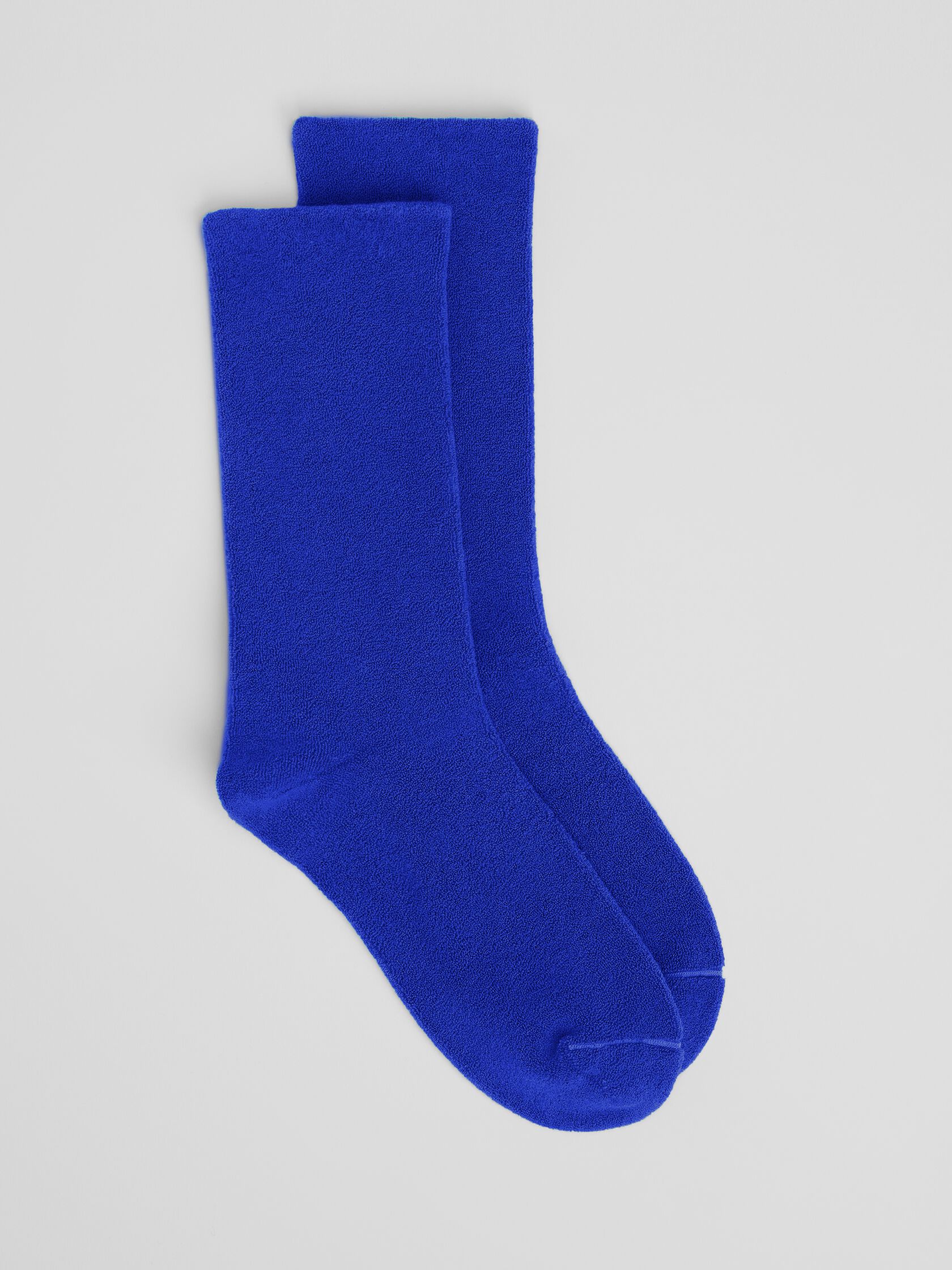 Loopy Terry Cotton Crew Sock