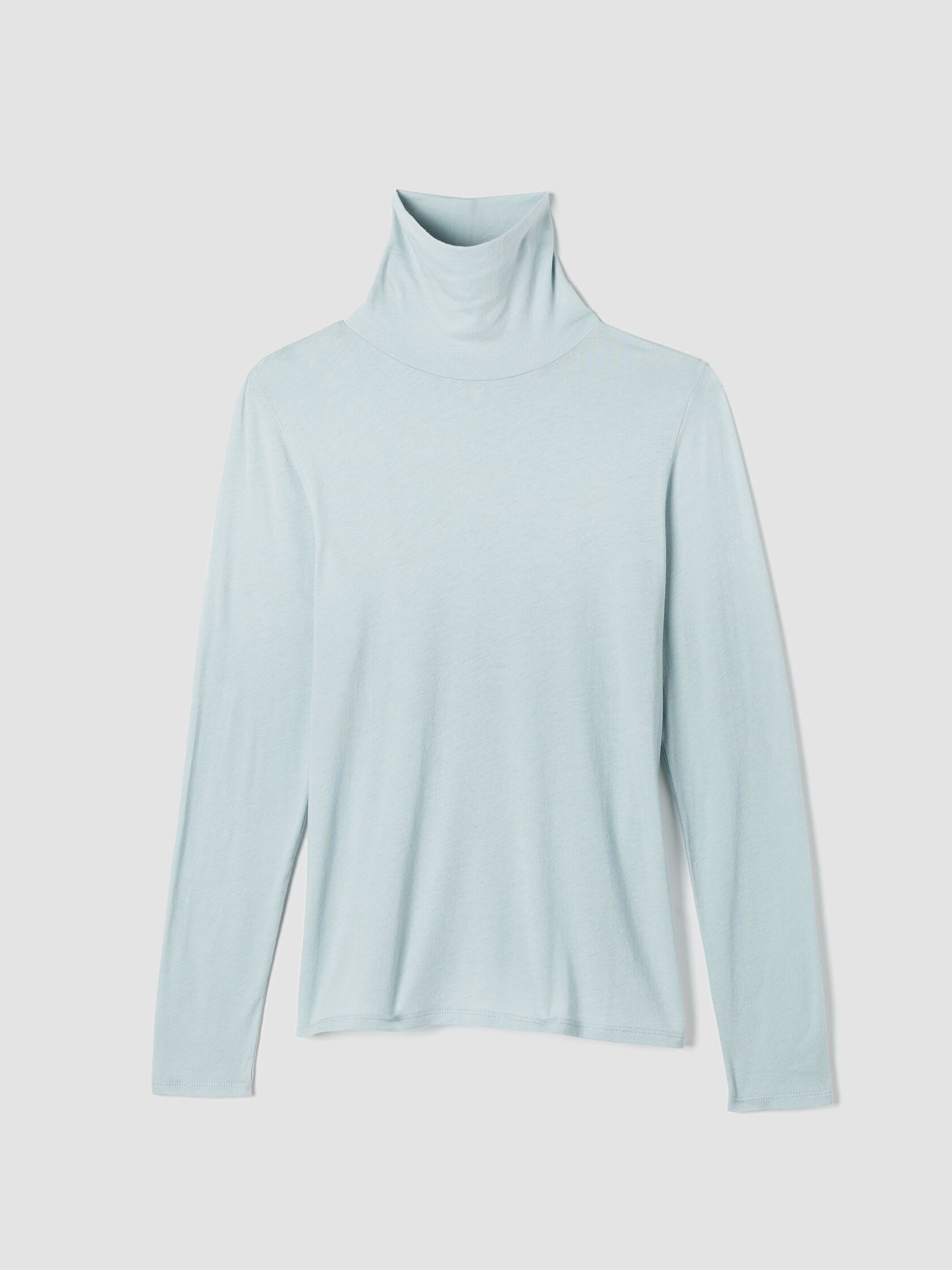 Sheer Knit Turtleneck Top