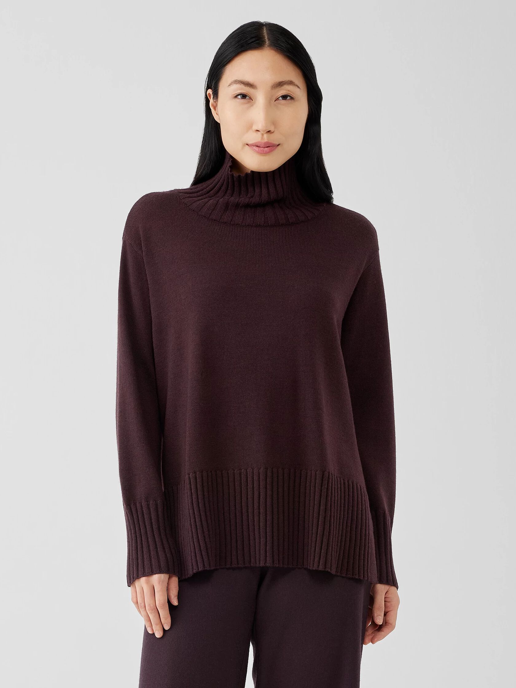 Merino Jersey Turtleneck in Regenerative Wool