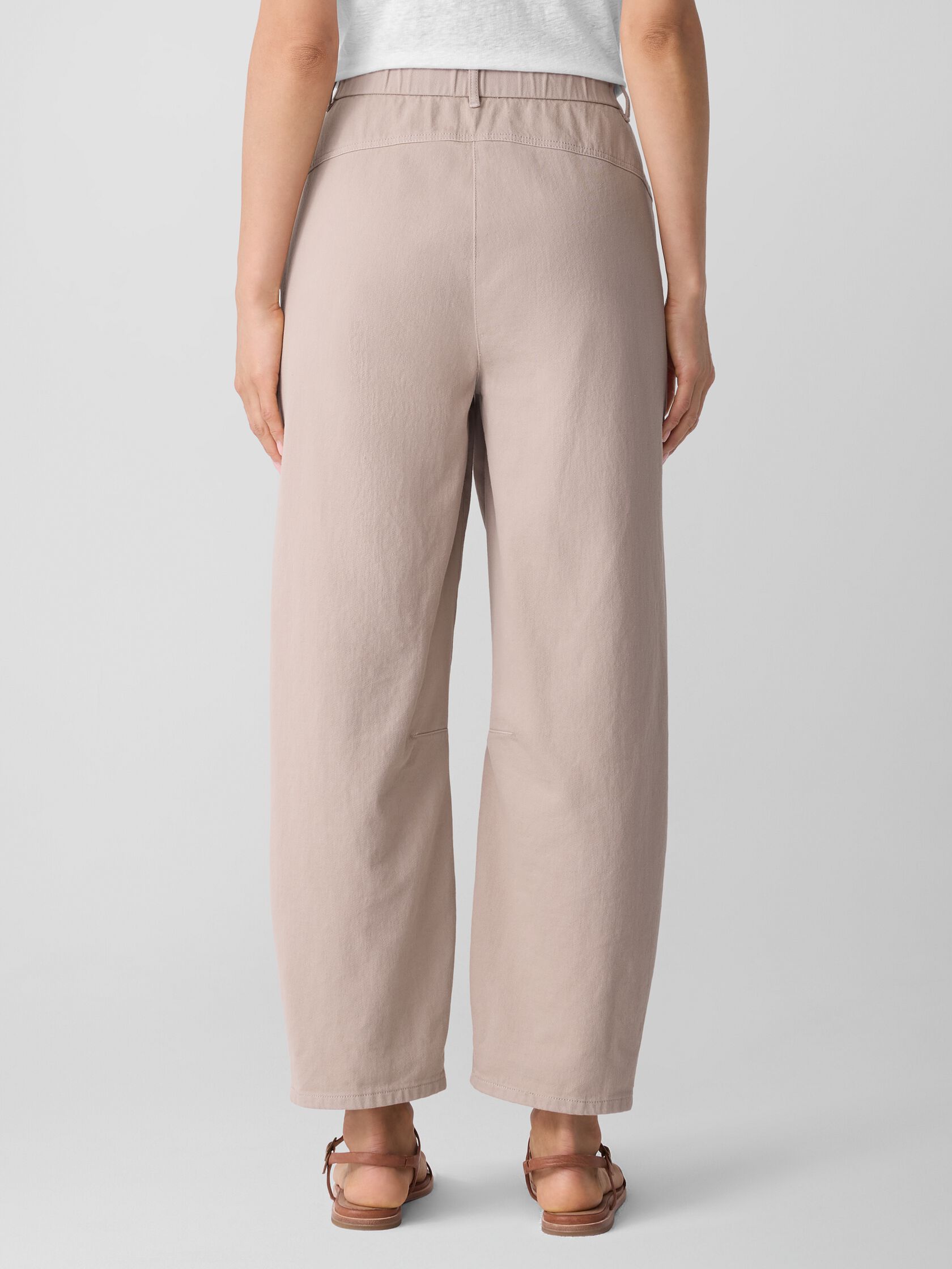 Garment-Dyed Utility Cotton Arch Pant