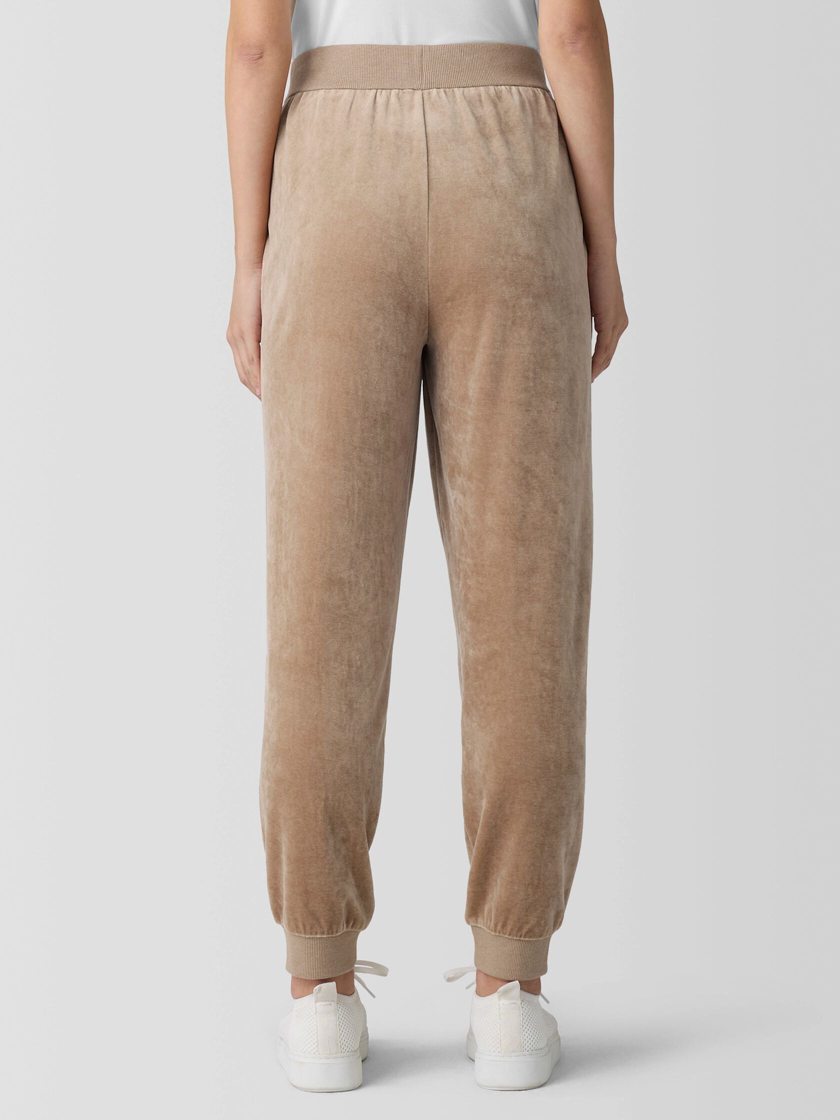 Cozy Velour Knit Jogger Pant