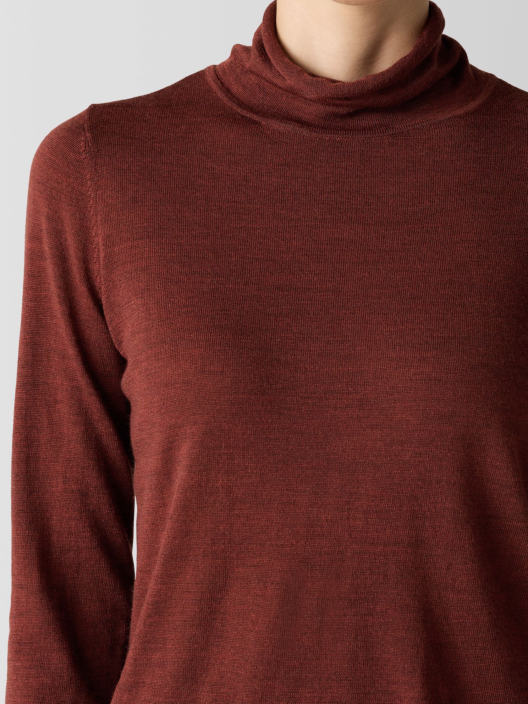 Fine Merino Turtleneck Top in&nbsp;Regenerative Wool