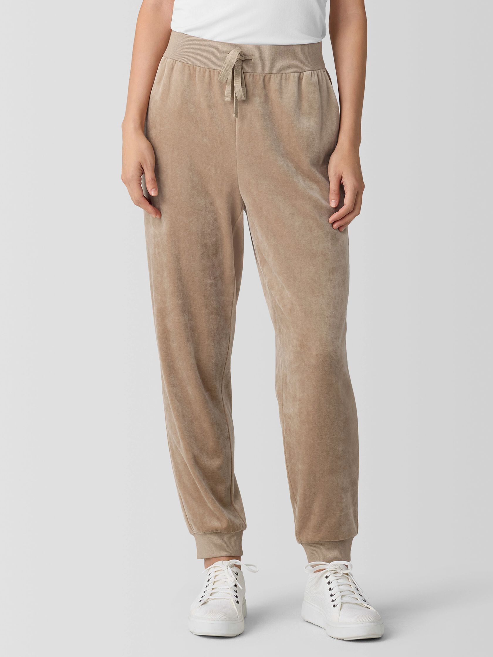 Cozy Velour Knit Jogger Pant