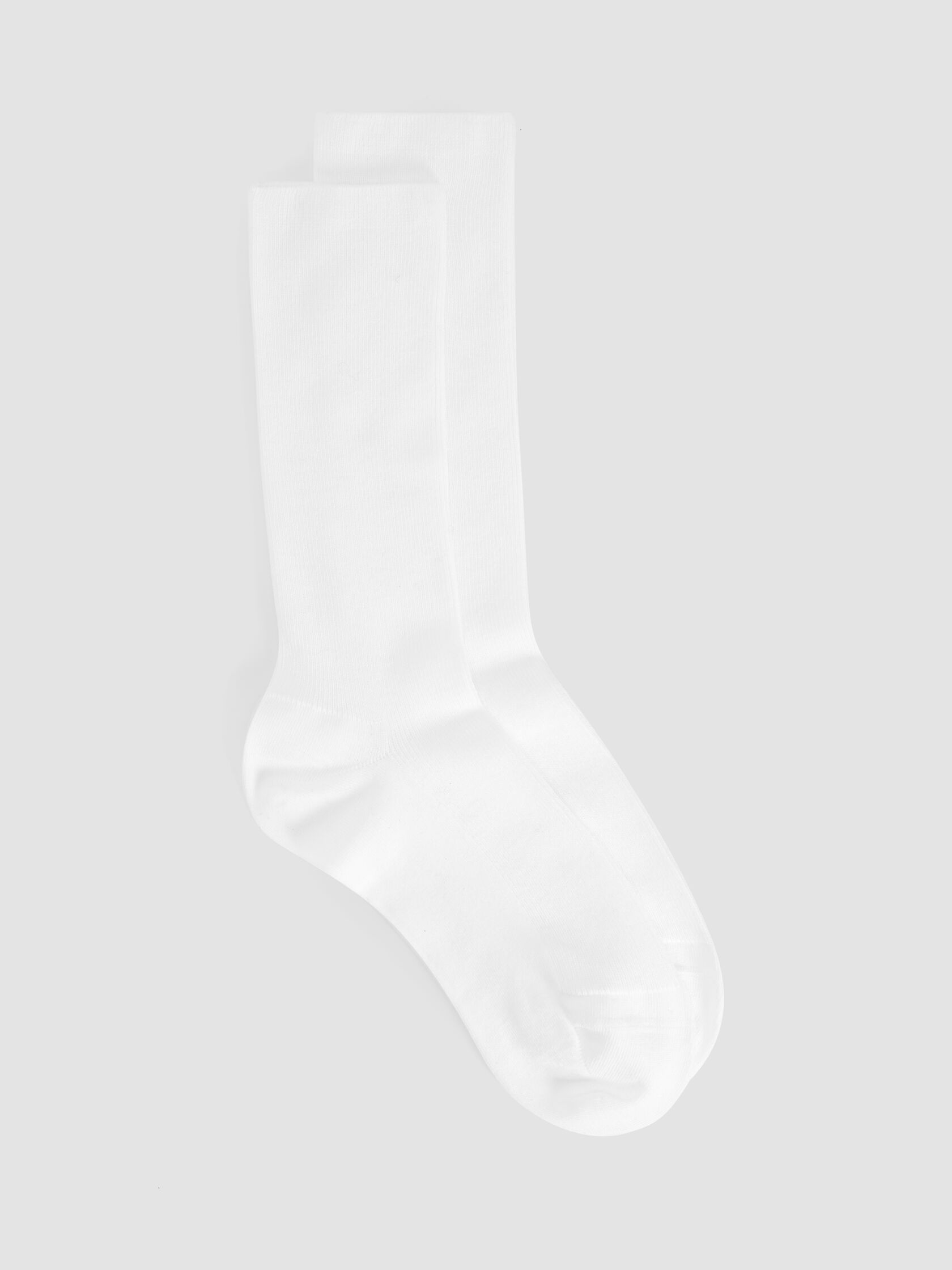 Cotton Rib Crew Sock